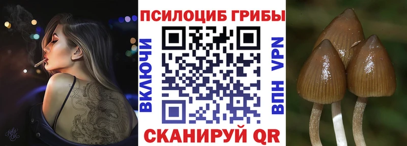 KRAKEN онион  что такое наркотик  сайты даркнета формула  Галлюциногенные грибы мухоморы  Приморск 